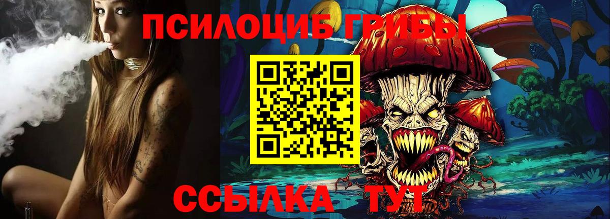 Псилоцибиновые грибы Psilocybine cubensis Дедовск